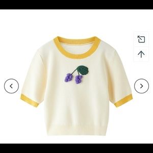 Ledin brand new Short Sleeve Sweater Grape Brooch